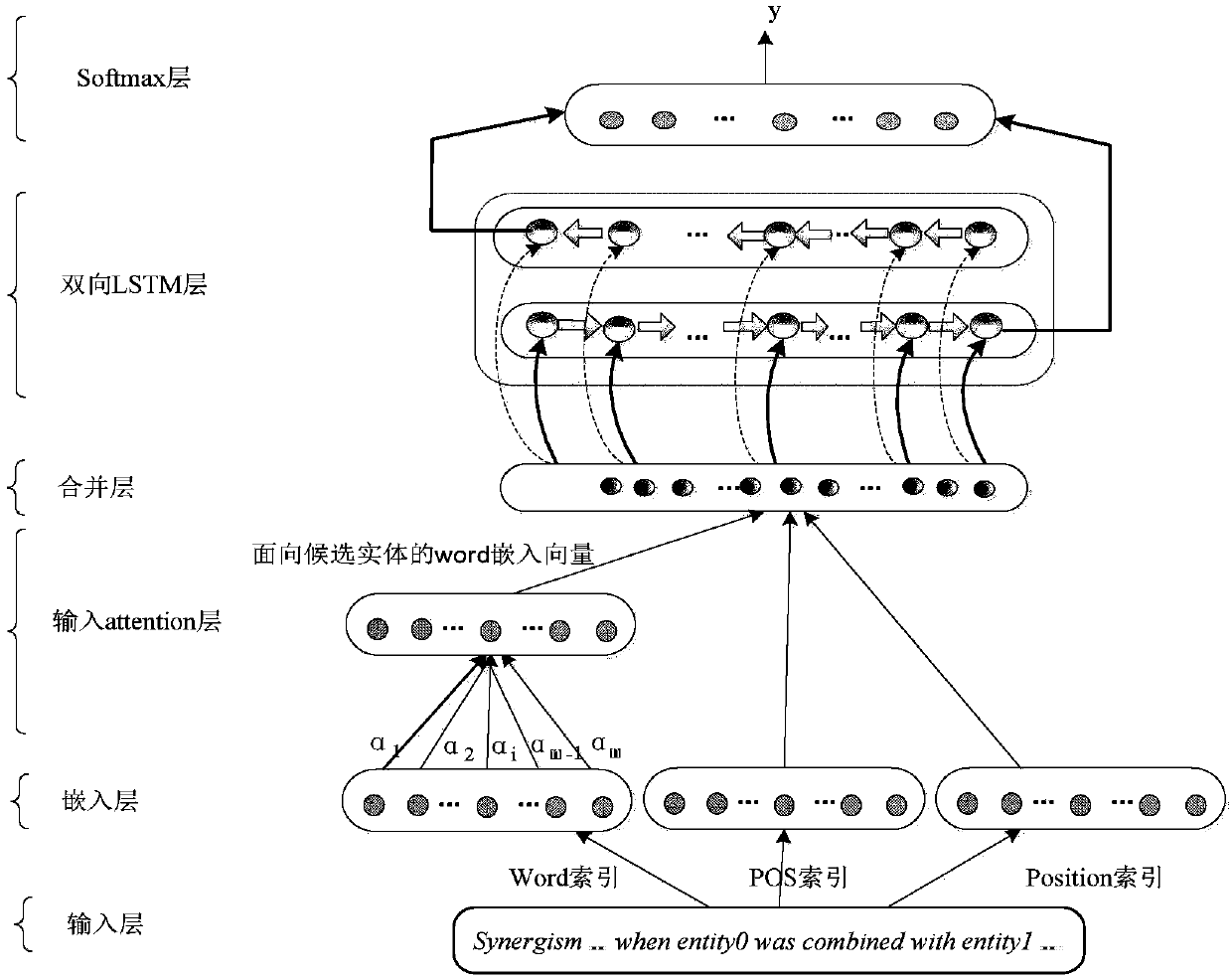Bio-medical entity relation classification method combining attention mechanism and neural network