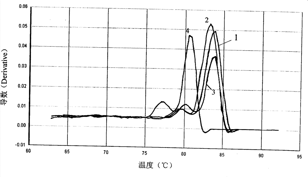 Quantitative determination method for K-ras gene mutation