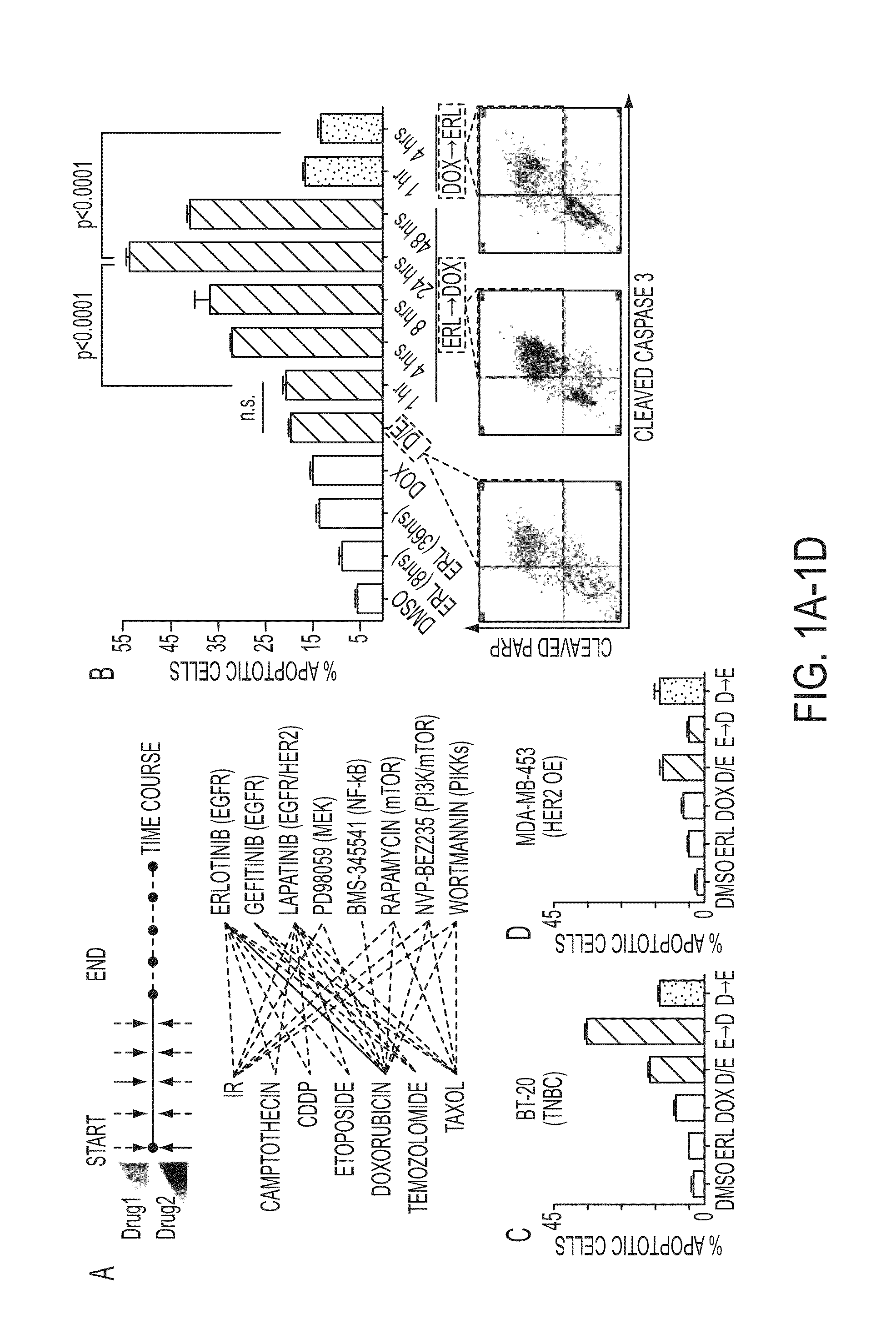 Compositions and methods of treatment of drug resistant cancers