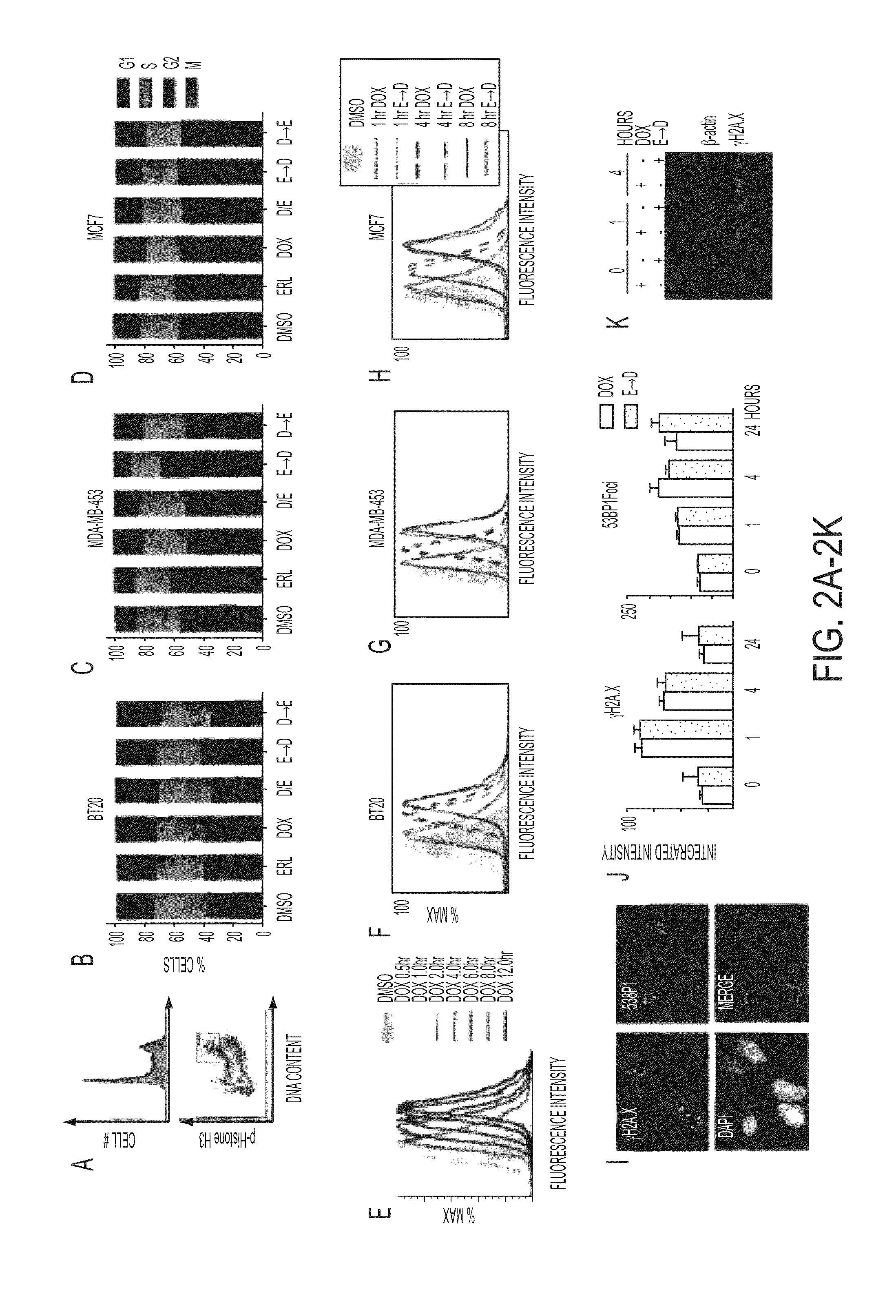 Compositions and methods of treatment of drug resistant cancers