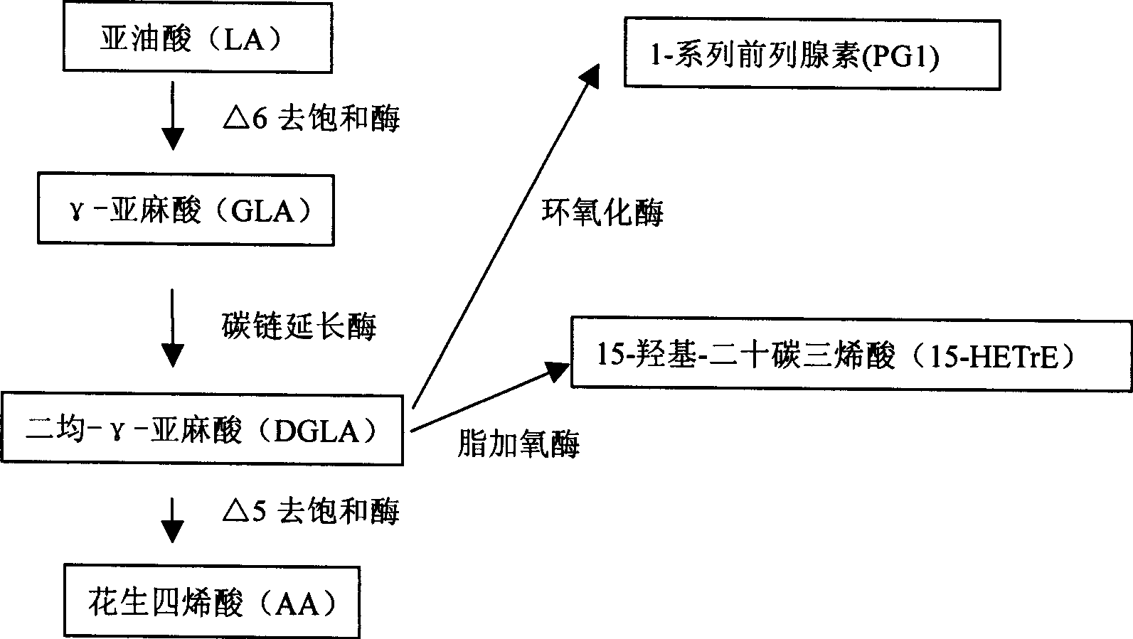 Composition containing dihomo-gamma-linolenic acid (DGLA) as the active ingredient