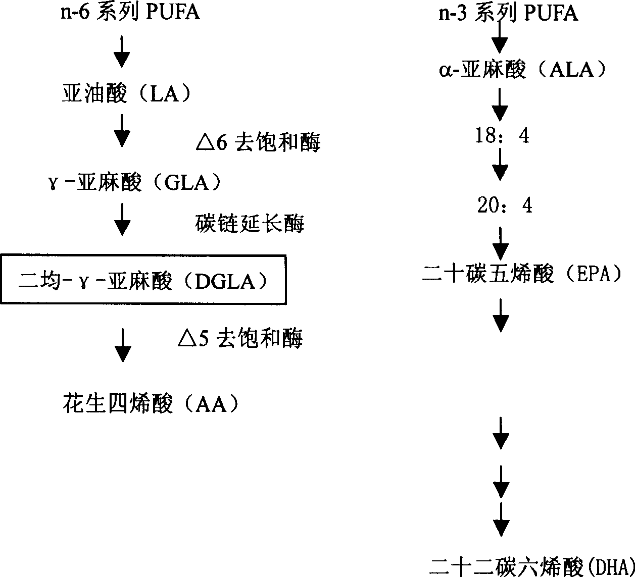 Composition containing dihomo-gamma-linolenic acid (DGLA) as the active ingredient