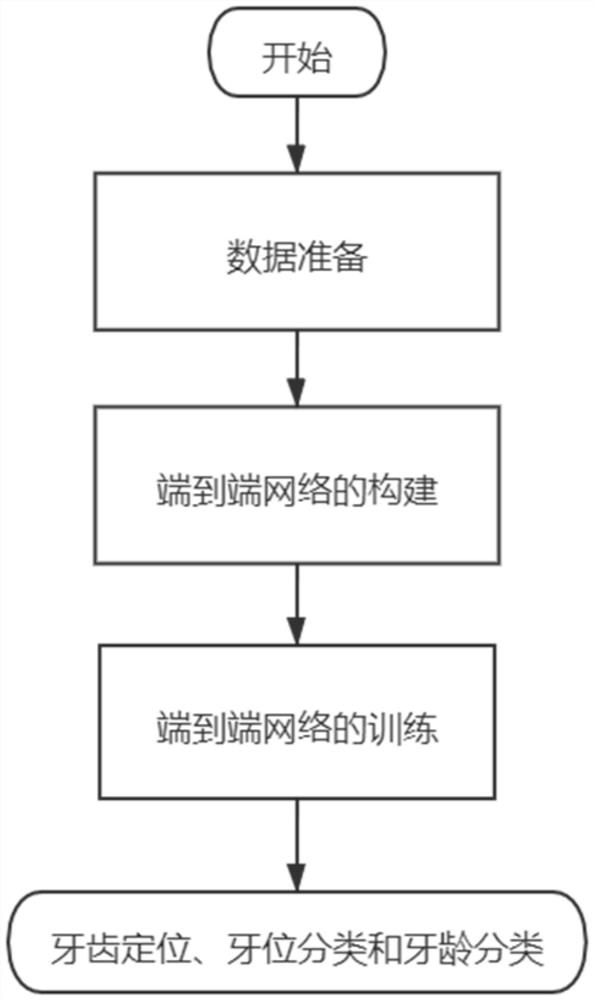 A Computer Aided Dental Age Analysis Method Based on Neural Network