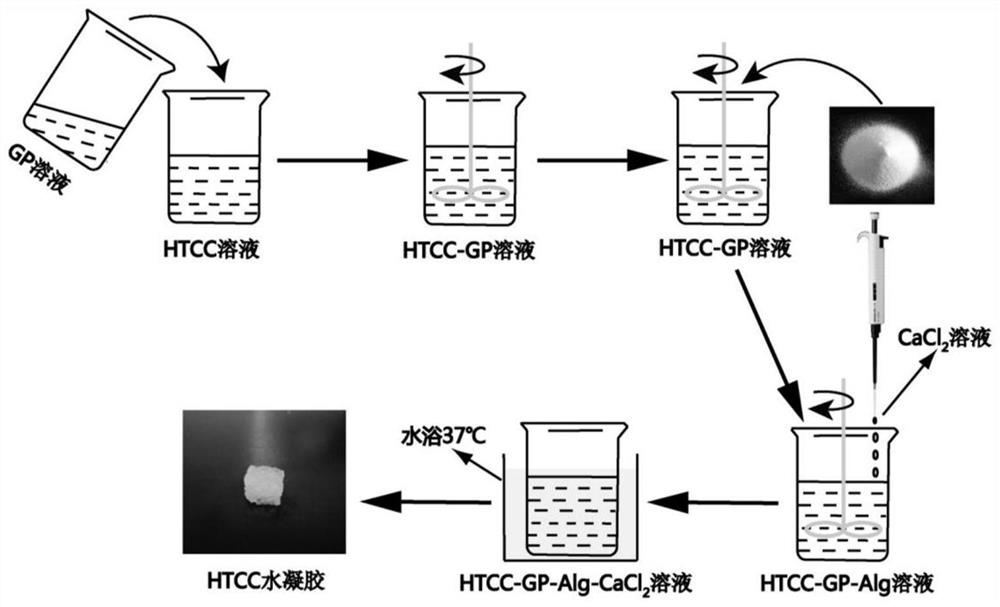 An in situ injectable temperature-sensitive response water-soluble chitosan composite hydrogel for lacrimal embolism, its preparation method and application