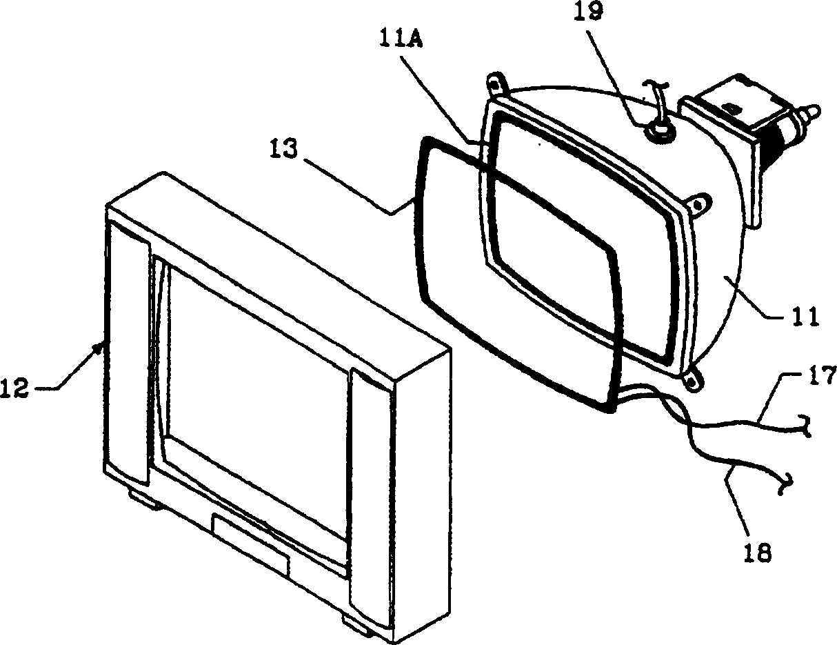 Video display appliance including device for eliminating radiation wave