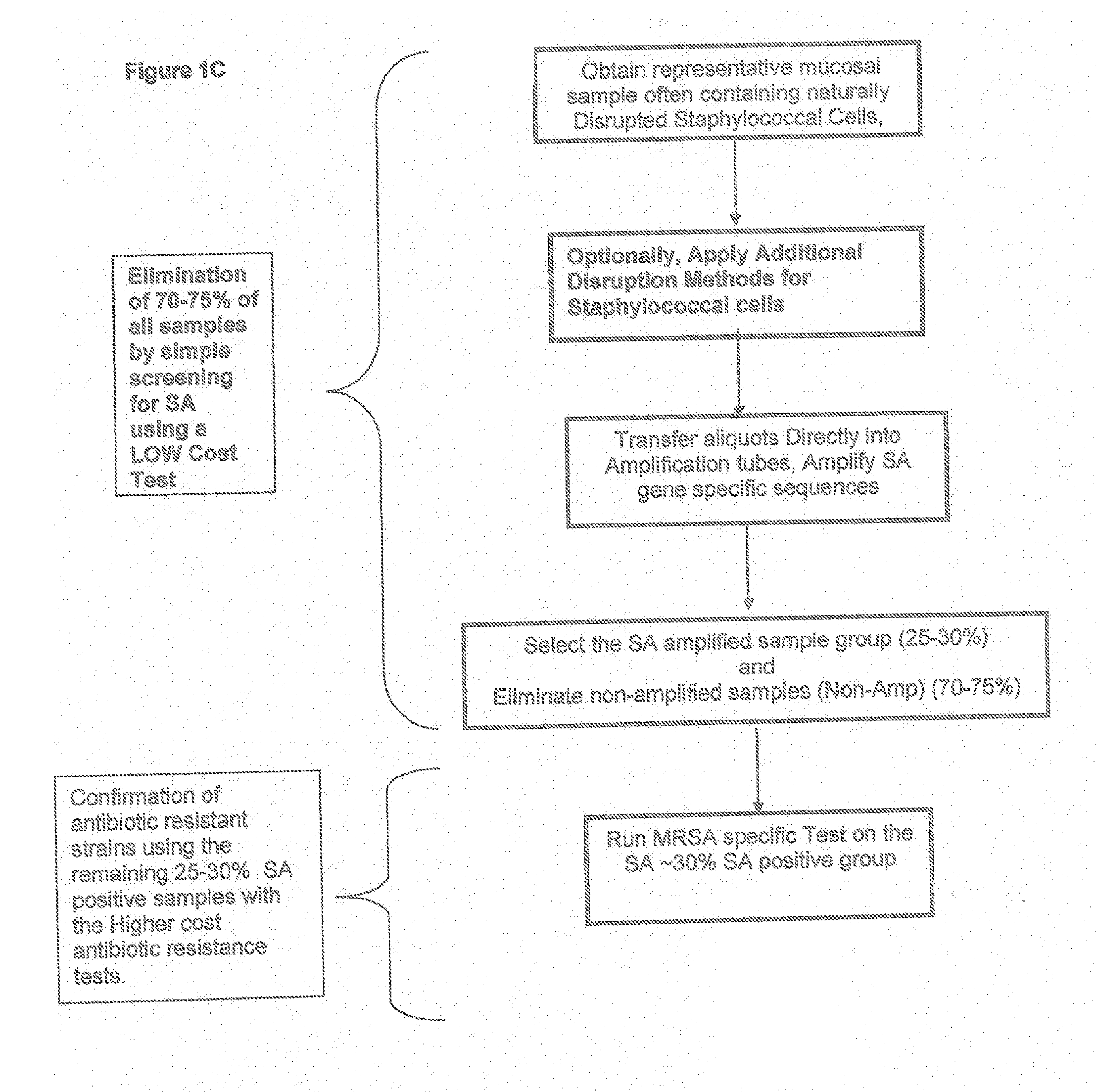 Methods And Compositions Including Diagnostic Kits For The Detection of Staphylococcus Aureus