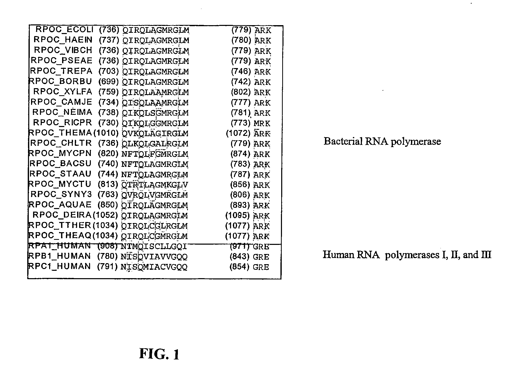 Target and method for inhibition of bacterial RNA polymerase