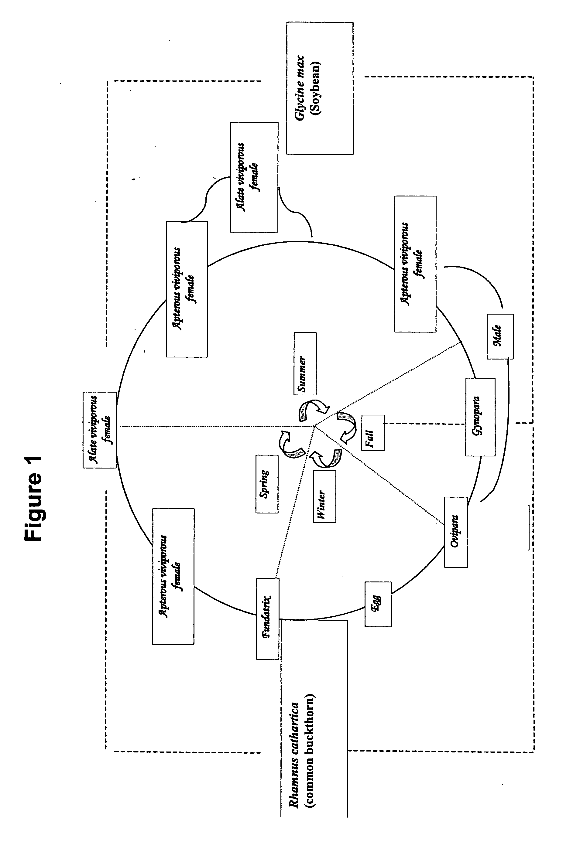 Method for soybean aphid population suppression and monitoring using aphid-and host-plant-associated semiochemical compositions