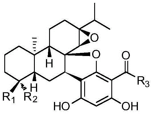Phloroglucinolo abietane diterpenoid compound, preparation method thereof and medicinal application