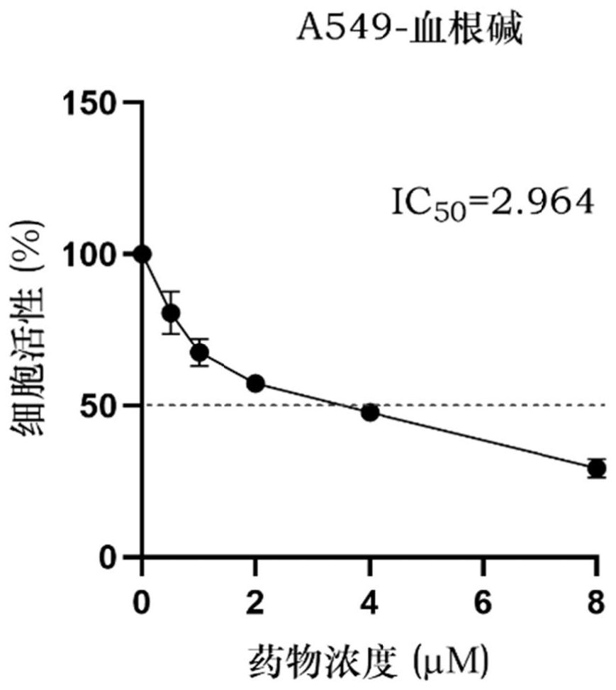 Application of sanguinarine in preparation of RIPK3 activator