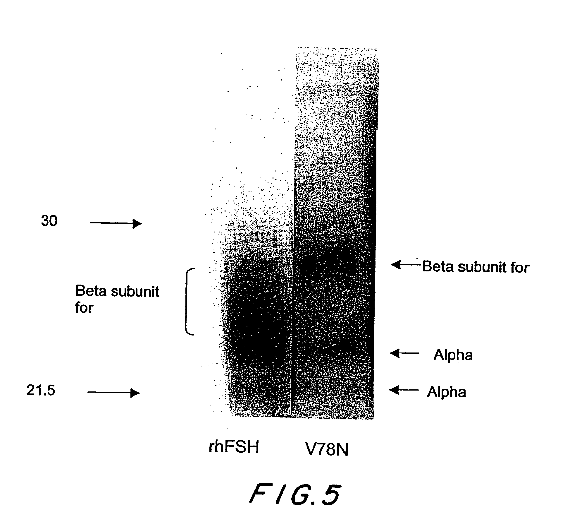 Mutant glycoproteins