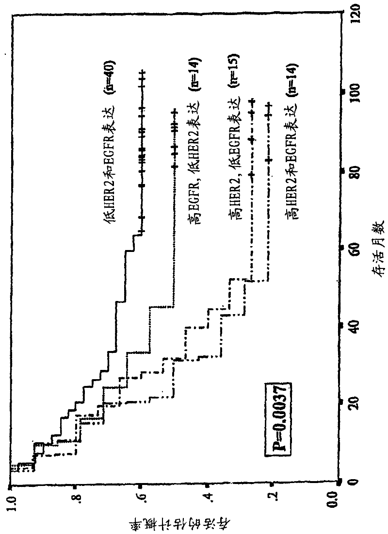 Method of determining epidermal growth factor receptor and HER2-neu gene expression and correlation of levels thereof with survival rates