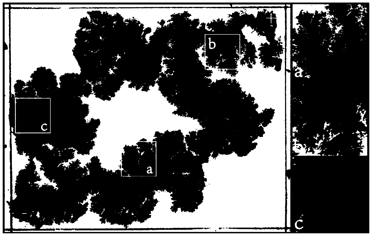 A method and device for obtaining unipolar discharge traces on high-voltage electric surfaces