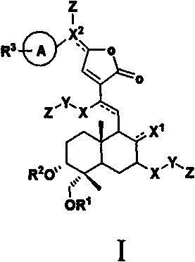 Andrographolide analogue and application of andrographolide analogue to treatment