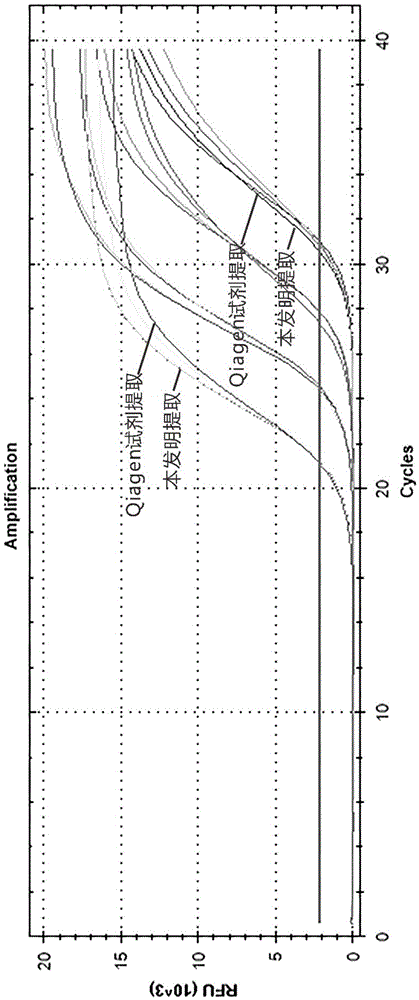 Nucleic acid releaser and method for quickly extracting nucleic acids from dried blood spots