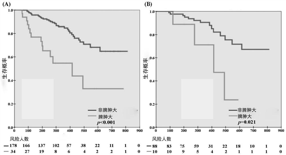 Application of splenomegaly in determining treatment effect of immune checkpoint inhibitor of tumor patient