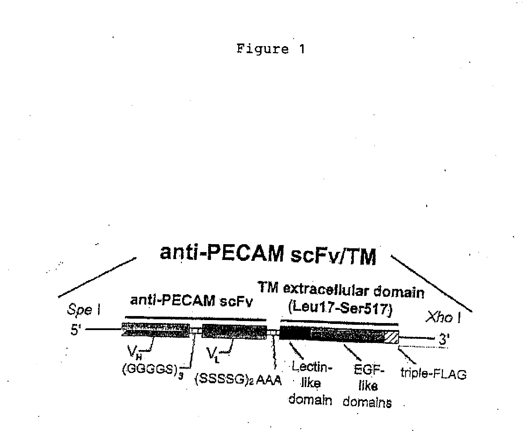 Compositions containing thrombomodulin domains and uses thereof