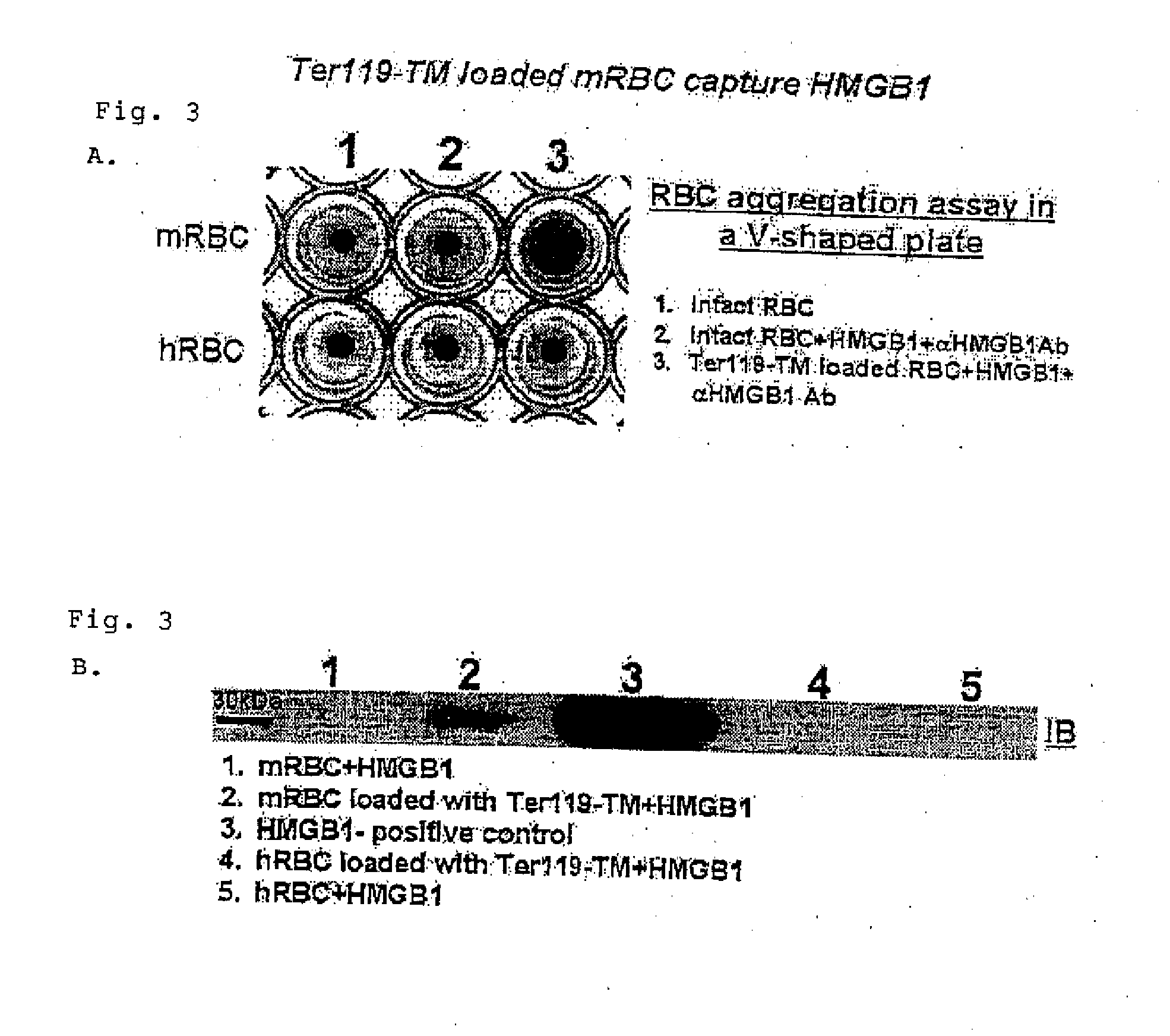 Compositions containing thrombomodulin domains and uses thereof