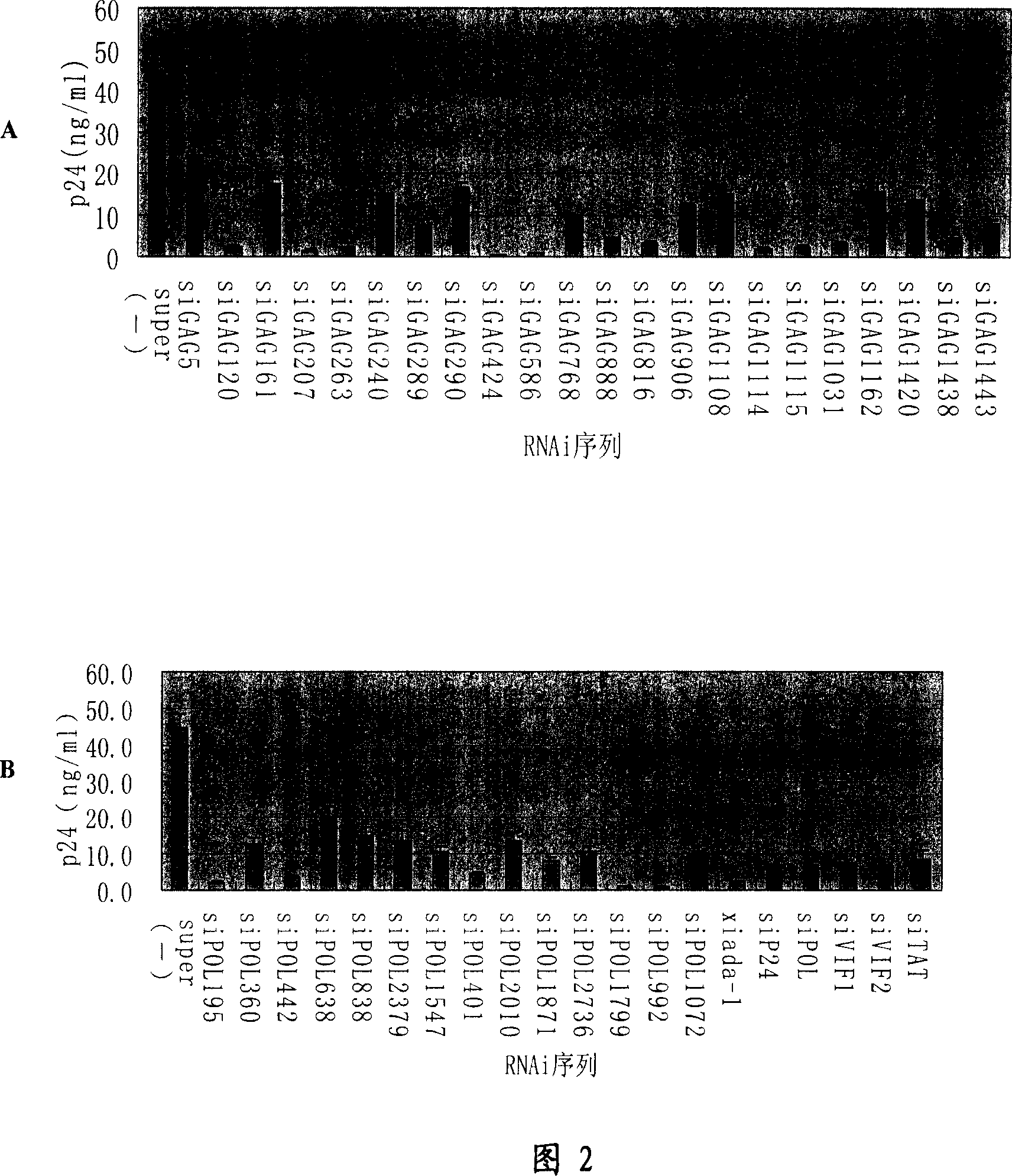 Recombination expression carrier for treating Aids, reformed blood building stem cell and method