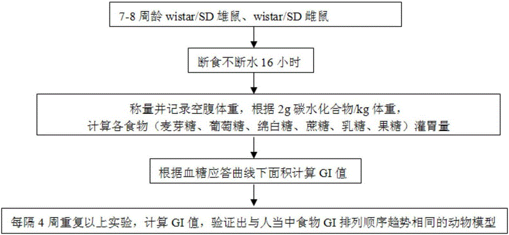 Construction method of animal experimental model for verifying food blood glucose generation index and animal model constructed through method