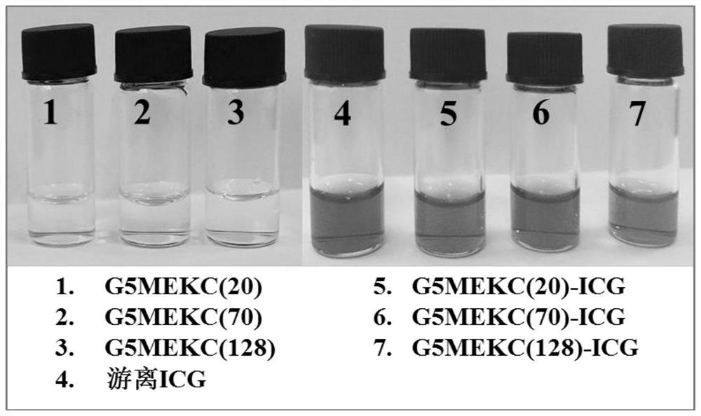 A kind of indocyanine green nano medicine and preparation method thereof