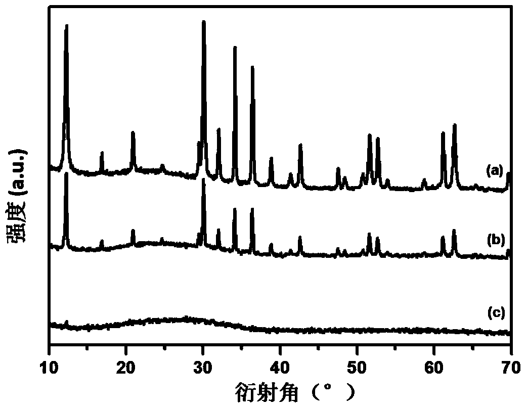 Negative electrode material of lithium ion battery and preparation method thereof