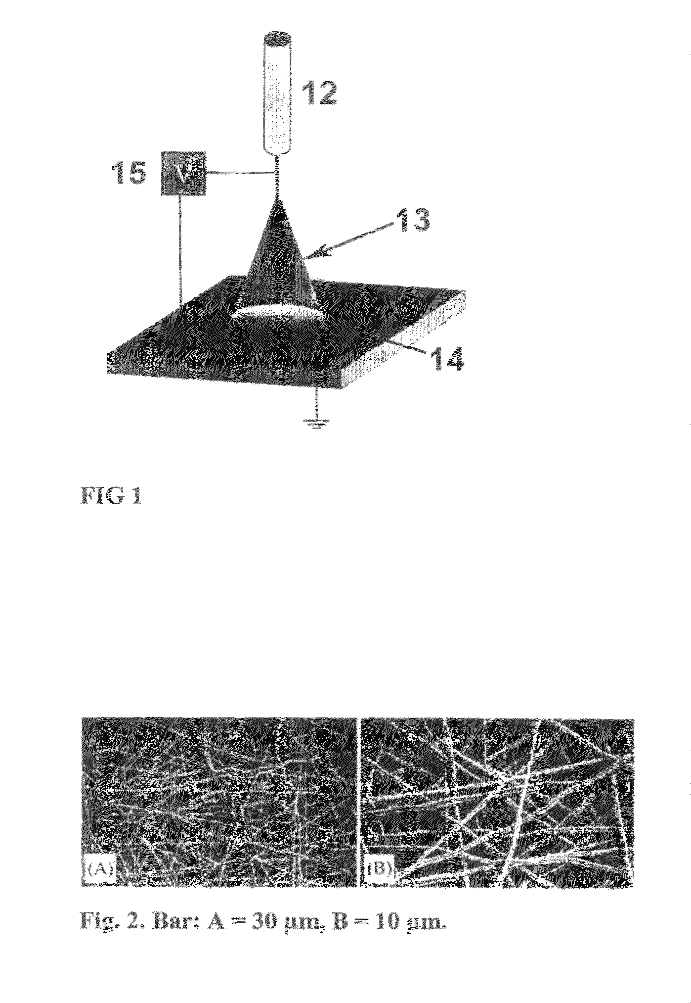 Tissue engineered cartilage, method of making same, therapeutic and cosmetic surgical applications using same