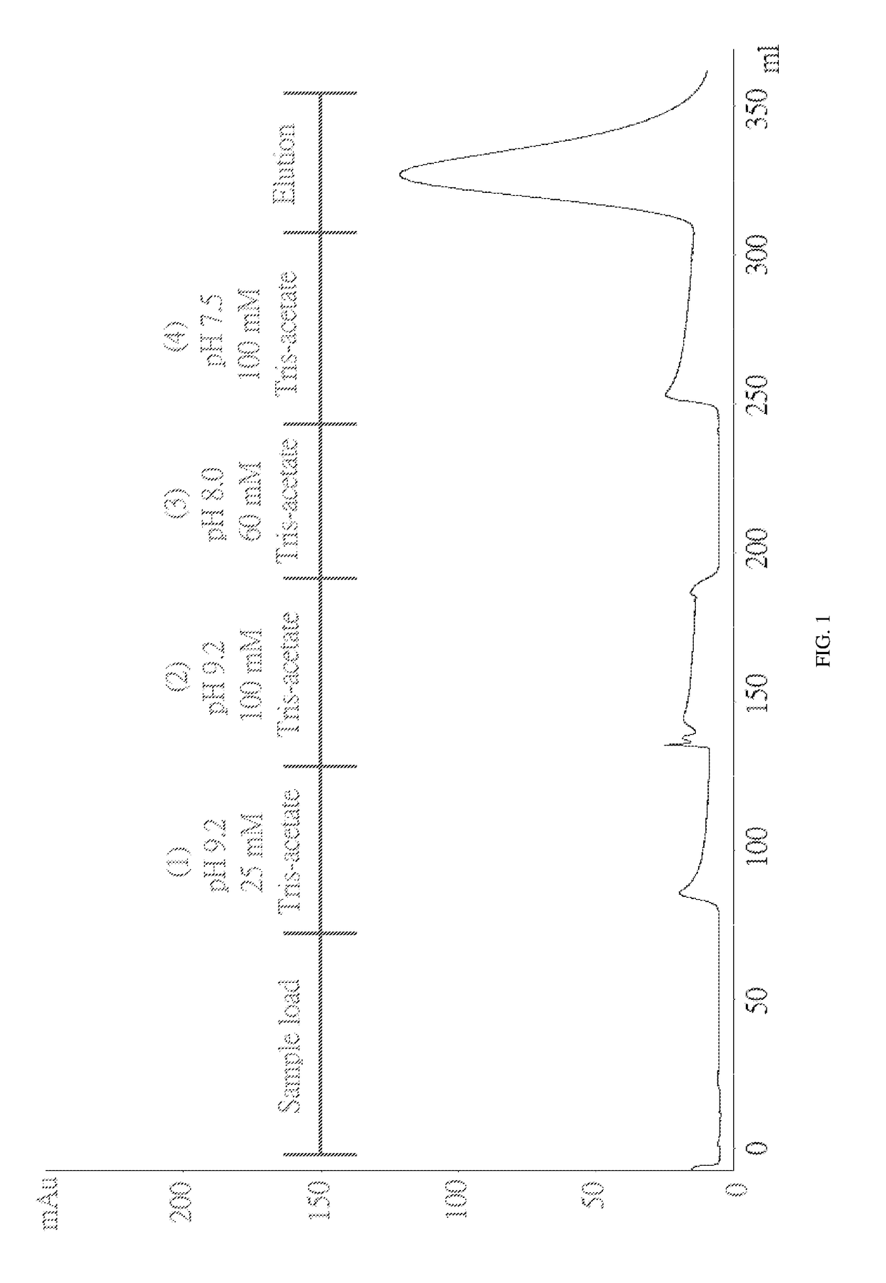 Production of high purity chondroitinase ABC