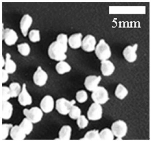 A kind of regenerated cellulose pellet containing flaky nano ZNO and its preparation method