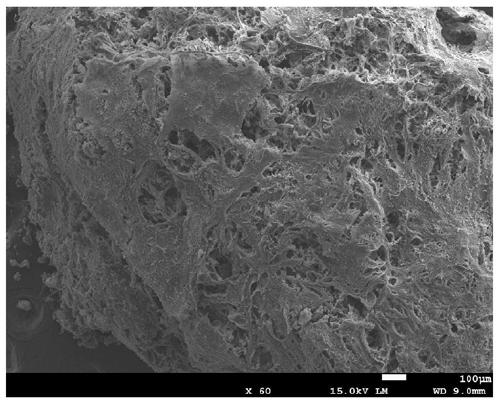A kind of regenerated cellulose pellet containing flaky nano ZNO and its preparation method