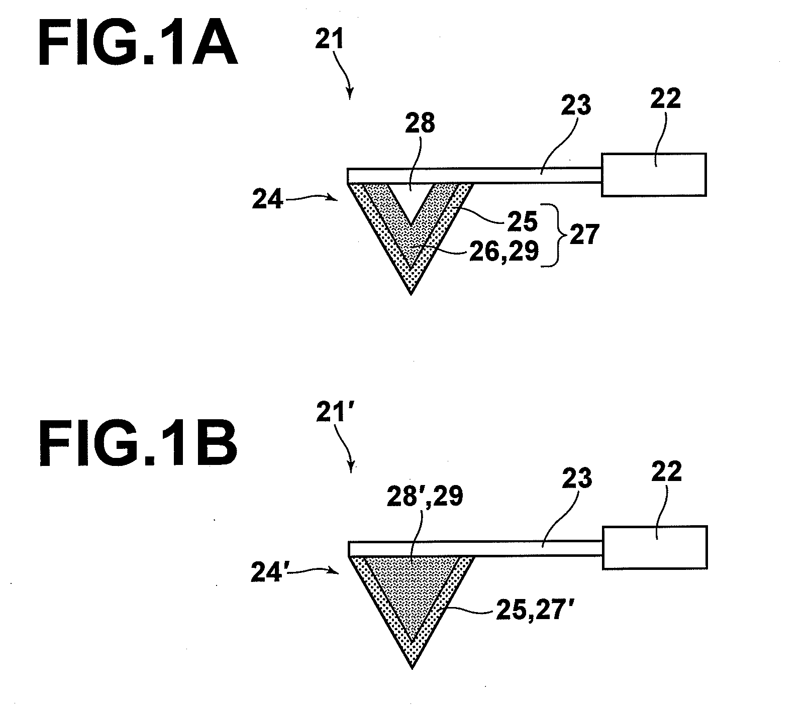 Cantilever for near field optical microscopes, plasmon enhanced fluorescence microscope employing the cantilever, and fluorescence detecting method