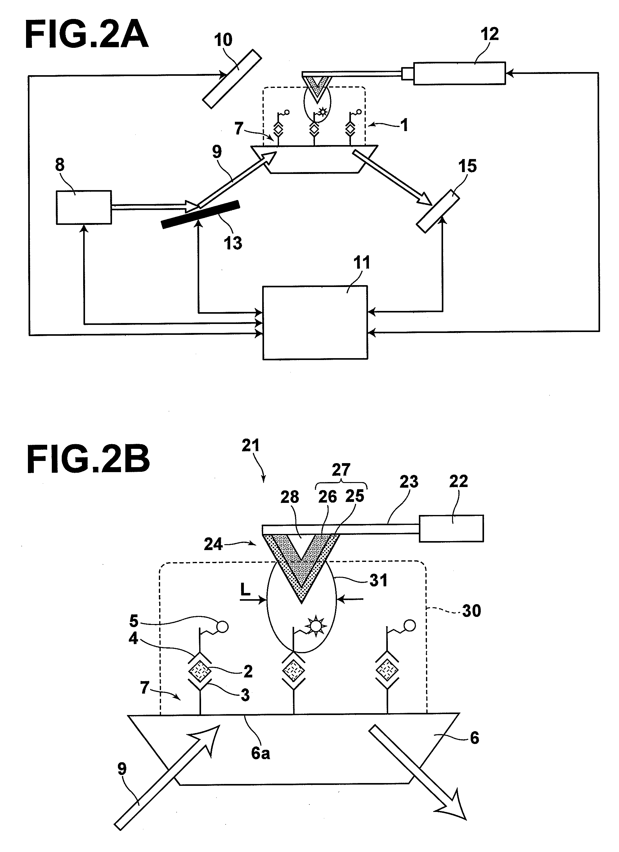 Cantilever for near field optical microscopes, plasmon enhanced fluorescence microscope employing the cantilever, and fluorescence detecting method