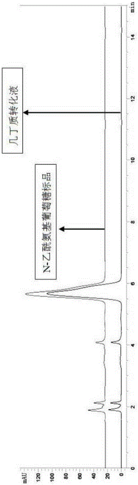 Process for producing N-acetylglucosamine