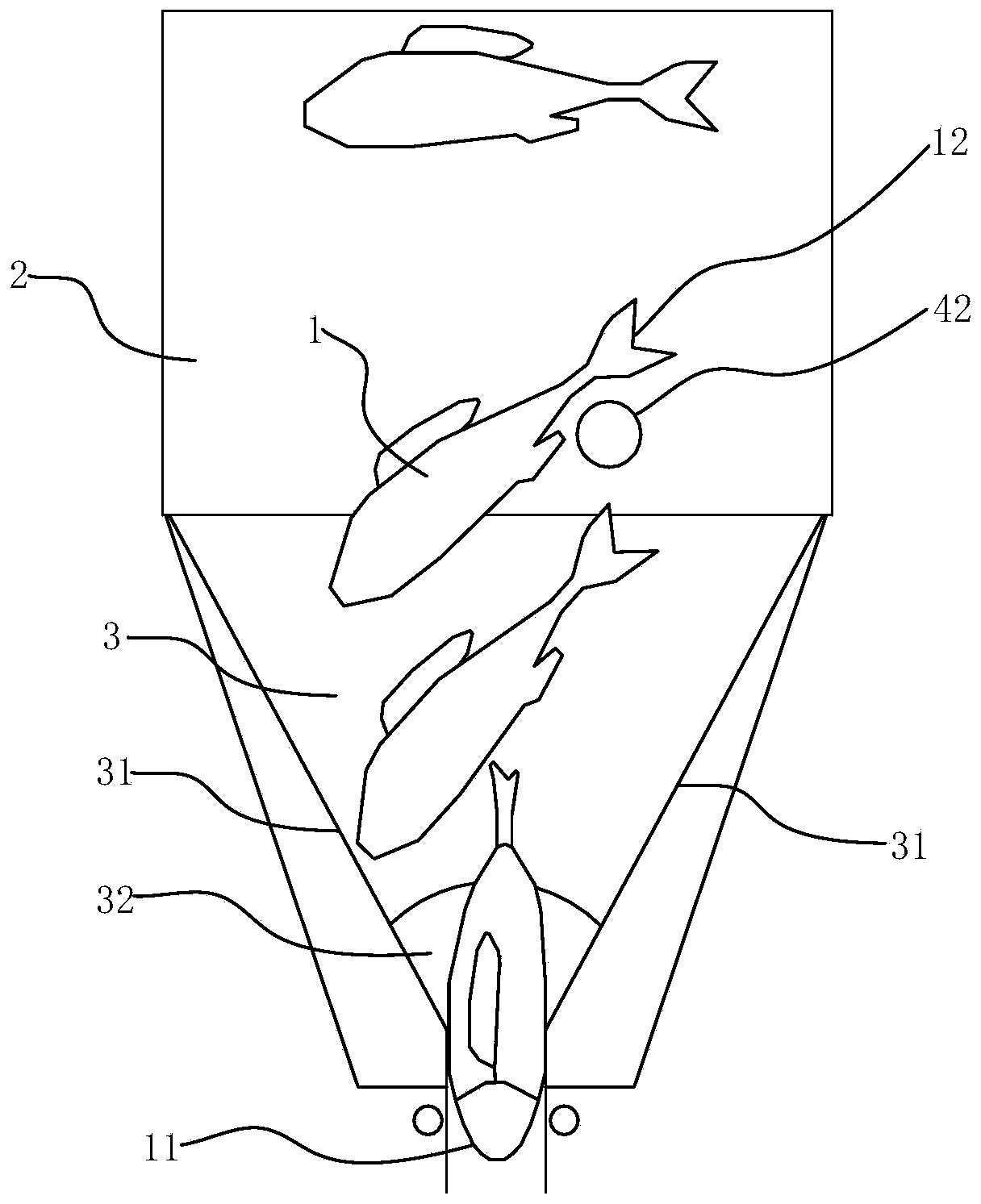 Fish head, tail, belly and back directional conveying device