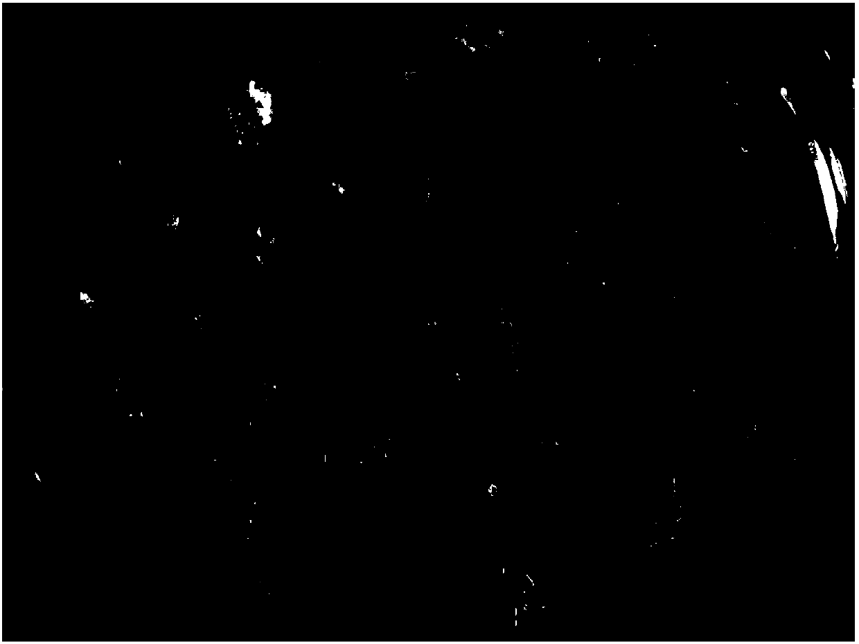 Short-period tissue culture method of peanuts