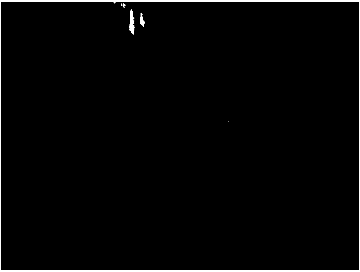 Short-period tissue culture method of peanuts