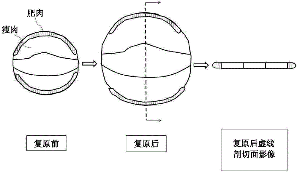 Instant dry meat with seasoning and manufacturing method thereof