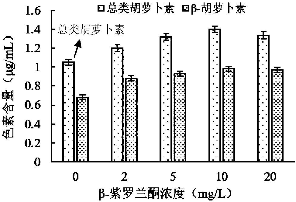 Method for promoting accumulation of carotenoids and beta-carotene in Dunaliella by using beta-ionone