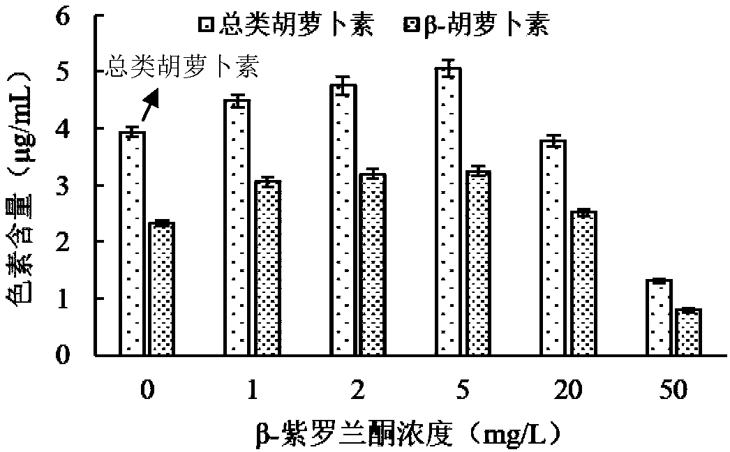 Method for promoting accumulation of carotenoids and beta-carotene in Dunaliella by using beta-ionone