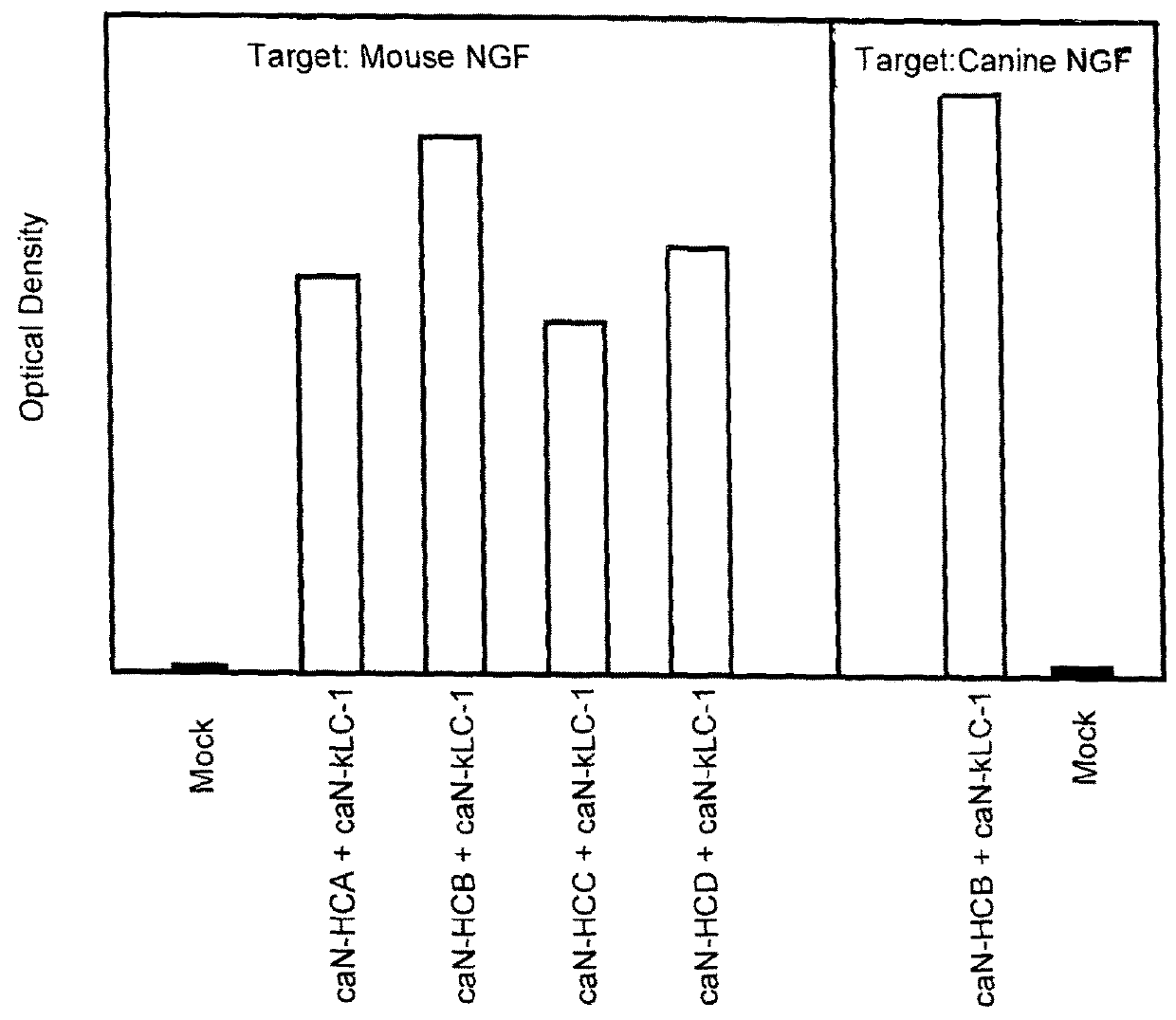 Caninized anti-nerve growth factor antibodies