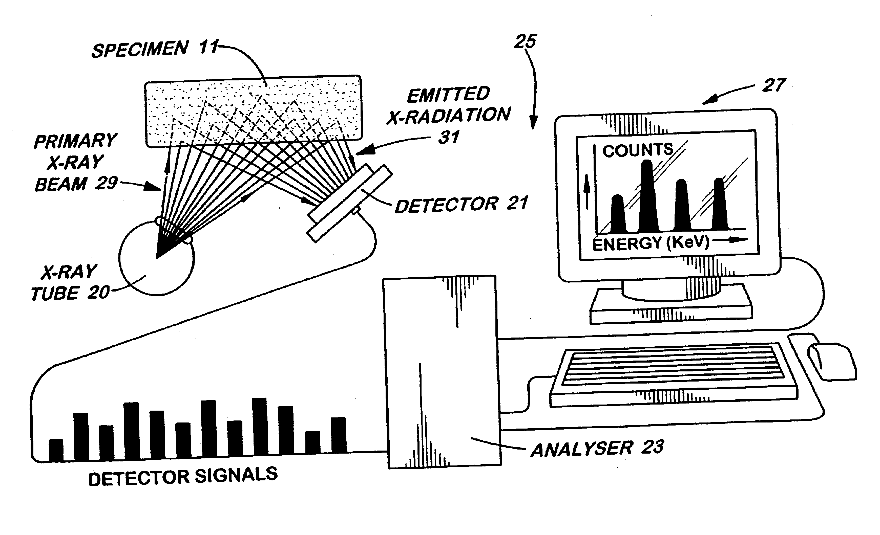 Methods for identification and verification using digital equivalent data system