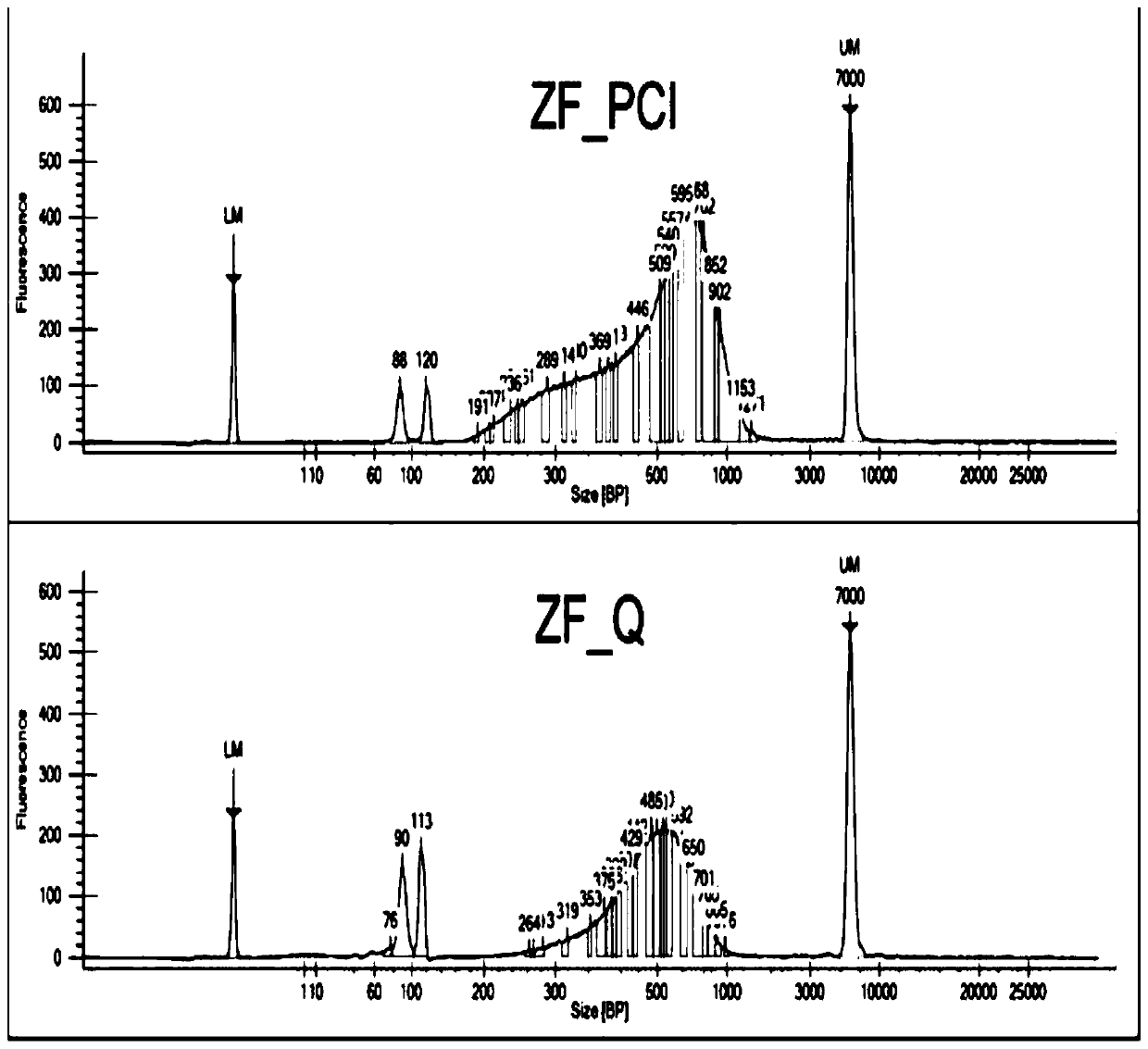 Small-fragment DNA library construction method capable of improving Hi-C library data quality