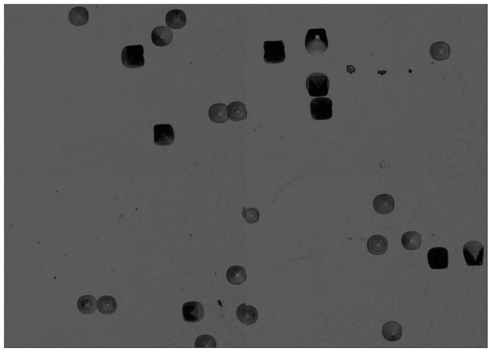 Method for growing indium phosphide single crystal by VGF method