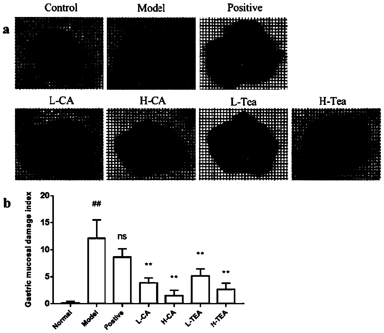 Application of adinandra nitida and camellianin A in preparation of medicine for treating gastric ulcer