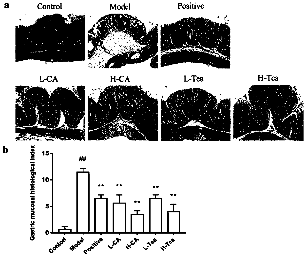 Application of adinandra nitida and camellianin A in preparation of medicine for treating gastric ulcer