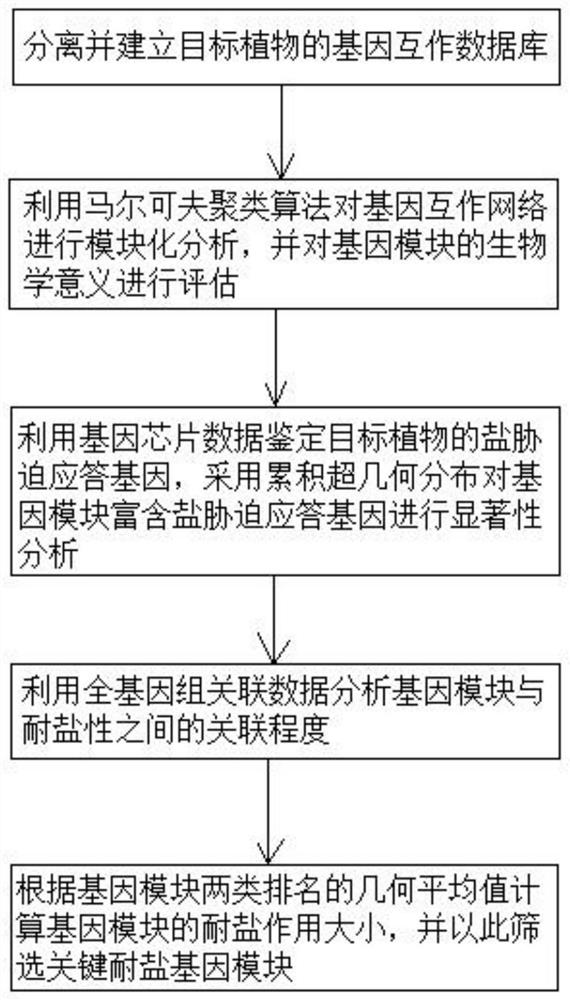 Plant salt-tolerant gene module mining method