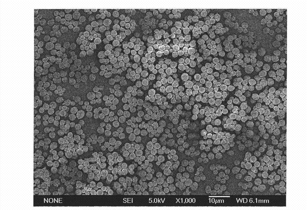 Amphiphilic porous hollow carbon microsphere as well as preparation method and application thereof
