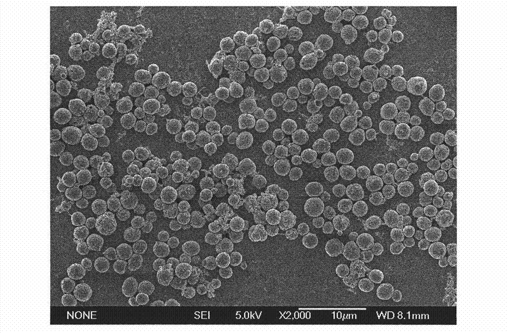 Amphiphilic porous hollow carbon microsphere as well as preparation method and application thereof