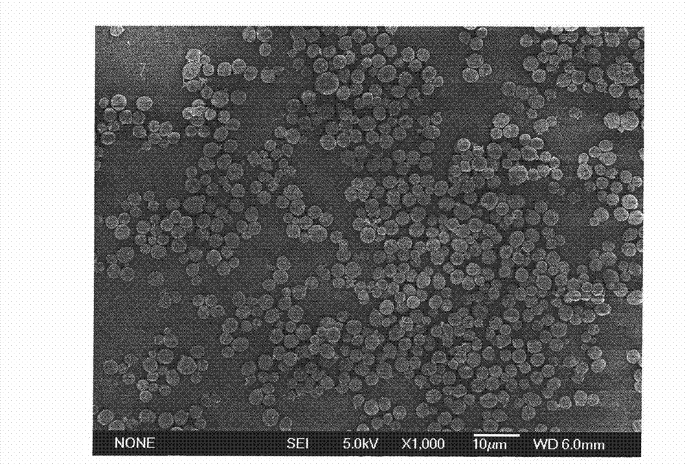 Amphiphilic porous hollow carbon microsphere as well as preparation method and application thereof