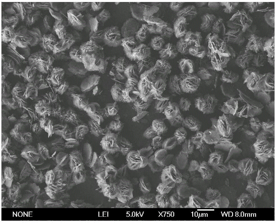 Hydrated calcium borate microsphere and anhydrous calcium borate microsphere, and preparation methods thereof
